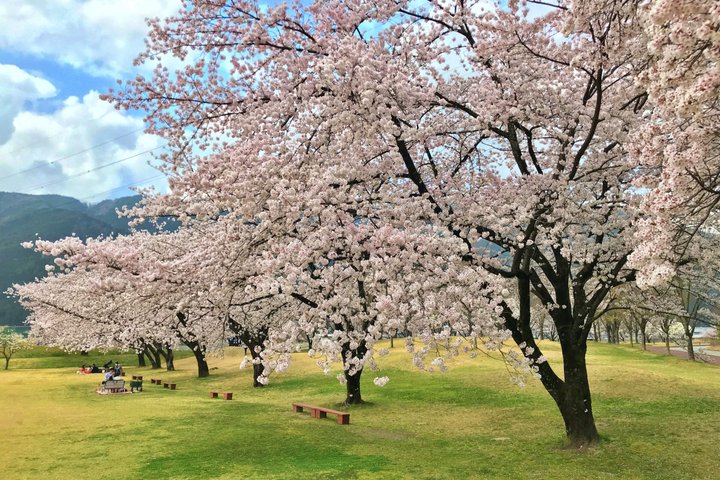 Private Countryside E-Bike Tour in Hida