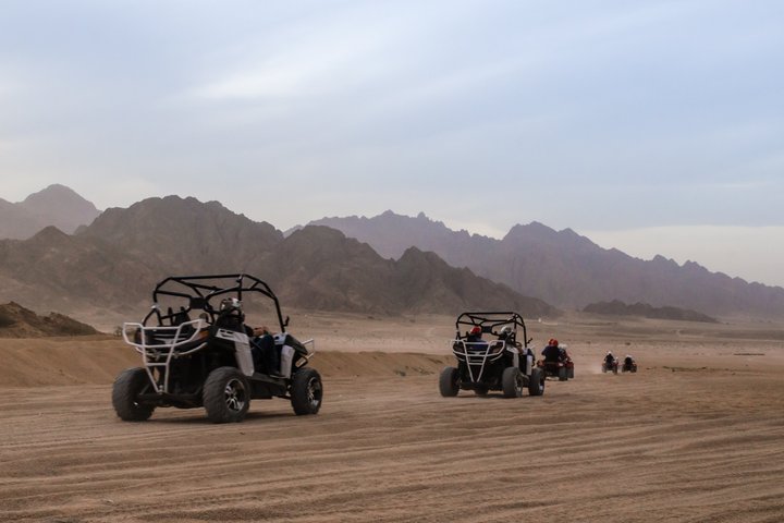 Sharm El-Sheikh: ATV Quad, Buggy, Stargazing, BBQ Dinner & Show