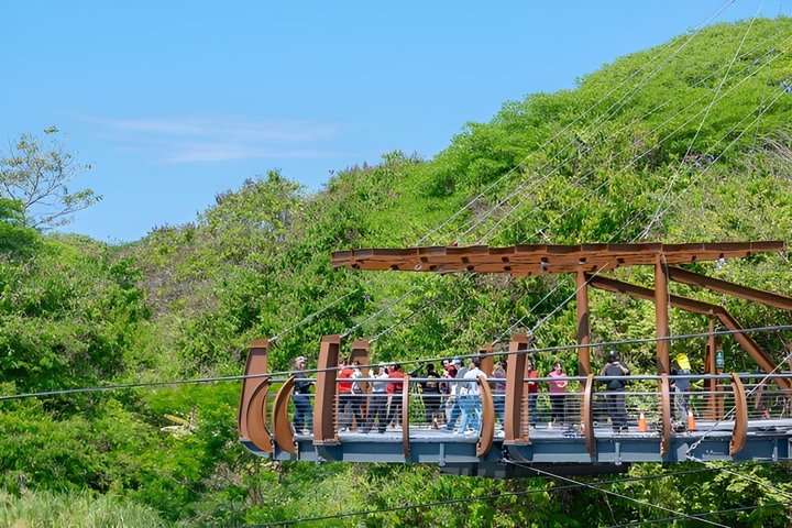 Puntarenas Shore Excursion: Rainforest Skywalk & Tarcoles River