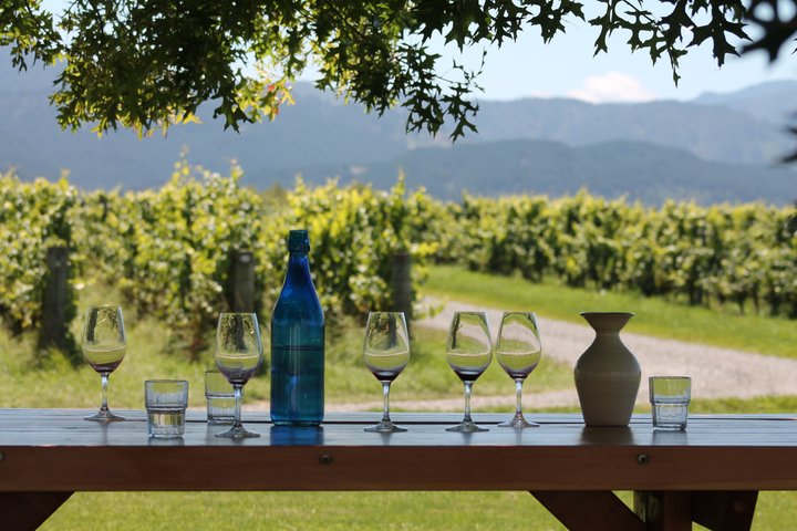 Marlborough Classic Wine Tasting Tour.