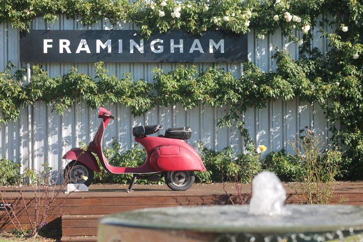 Marlborough Classic Wine Tasting Tour.
