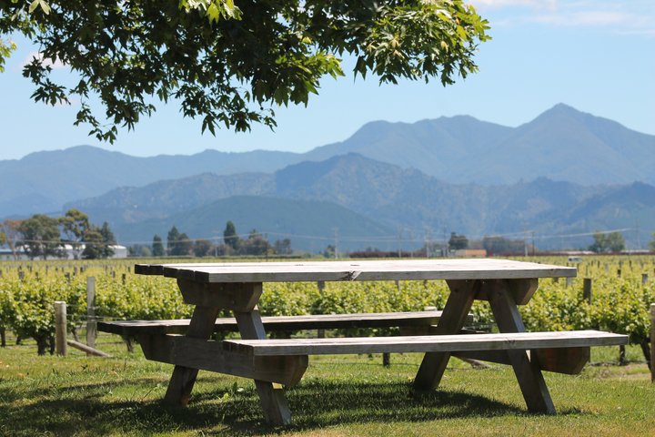 Marlborough Classic Wine Tasting Tour.