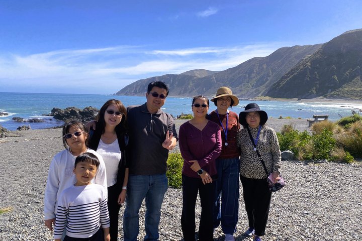 Wellington City to Coast Highlights Tour (with Lunch)