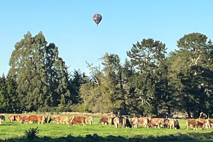 Hot Air Balloon Flights from Methven