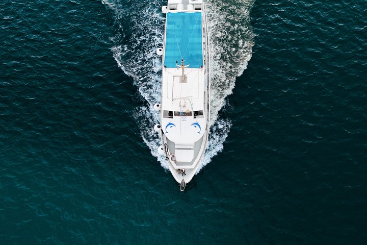 Dolphin Watching & Sunset Boat Tour With Drinks & optional Dinner