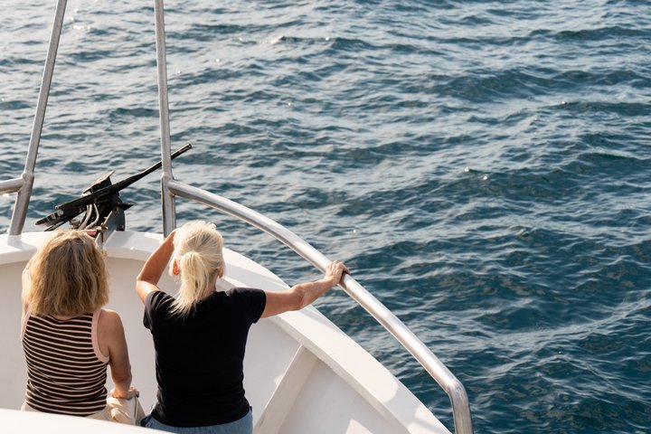 Dolphin Watching & Sunset Boat Tour With Drinks & optional Dinner
