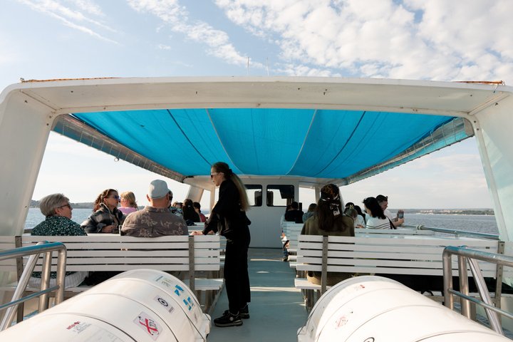 Dolphin Watching & Sunset Boat Tour With Drinks & optional Dinner
