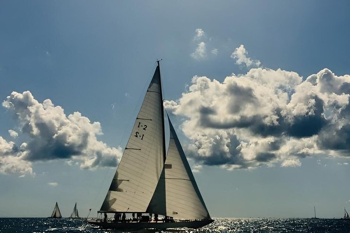 Whale Watching and Sailing Adventure in the Pelagos Sanctuary