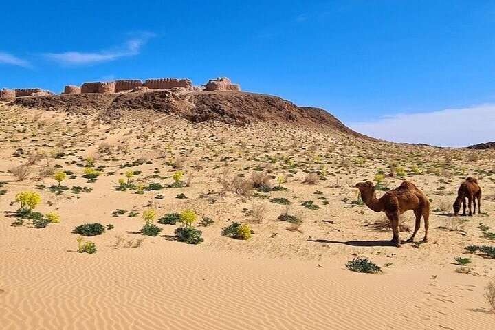 Khiva to Bukhara: Transfer with Top 5 Fortresses & Akchakul Lake