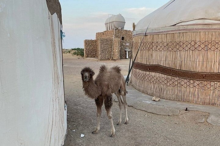 Khiva to Bukhara: Transfer with Top 5 Fortresses & Akchakul Lake