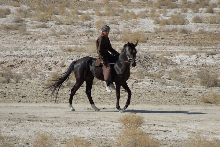 Khiva to Bukhara: Transfer with Top 5 Fortresses & Akchakul Lake