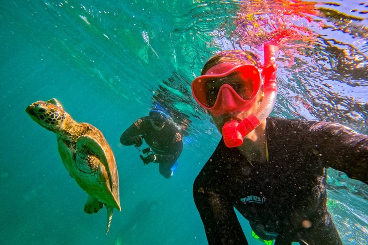 Whitehaven Beach Tour: 2 Options - All Day Beach Or Snorkel