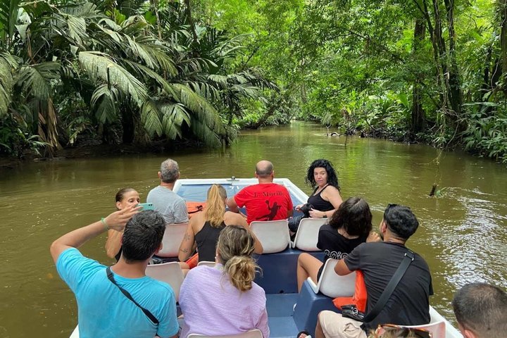 Puerto Limon Veragua Zipline and Tortuguero Canal Adventure