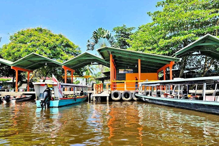 Puerto Limon Veragua Zipline and Tortuguero Canal Adventure