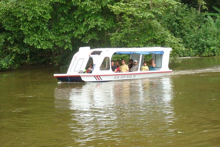 Puerto Limon Veragua Zipline and Tortuguero Canal Adventure