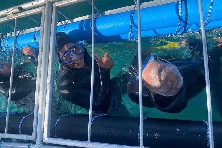 Shark Explorers