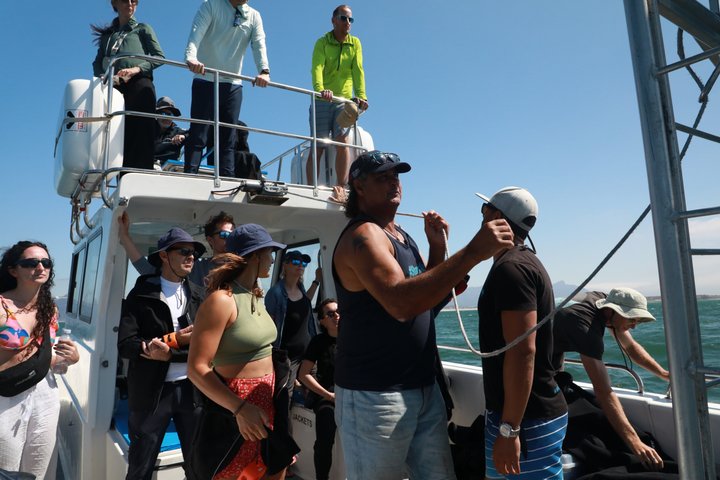 Shark Explorers