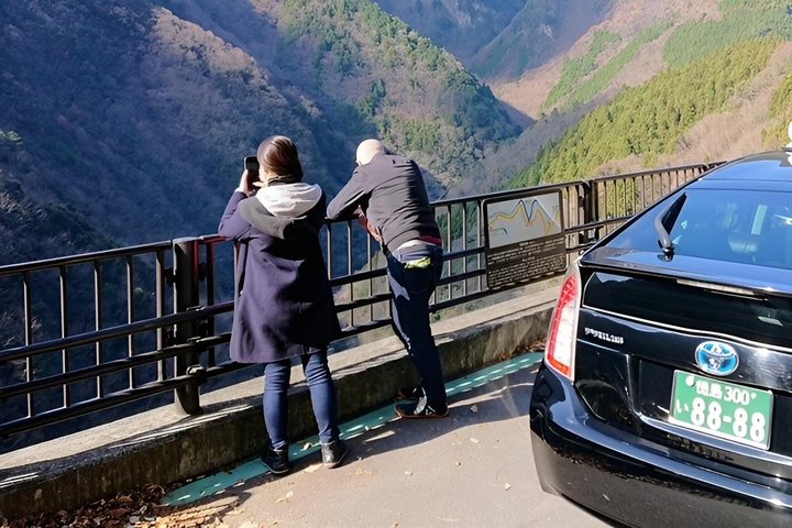 Tokushima Shore Excursion: Custom Car Tour, Licensed Guide