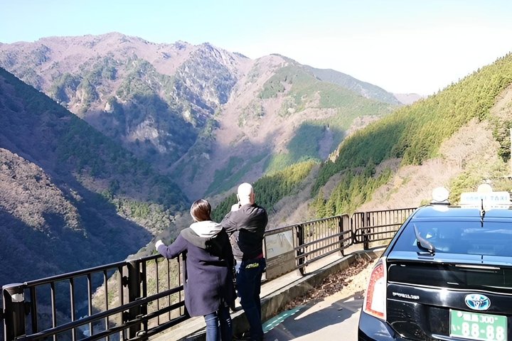 Tokushima Shore Excursion: Custom Car Tour, Licensed Guide