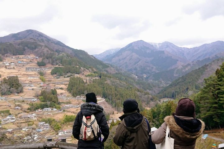 Tokushima Shore Excursion: Custom Car Tour, Licensed Guide