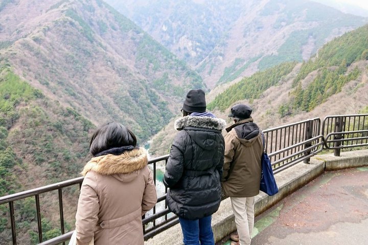 Tokushima Shore Excursion: Custom Car Tour, Licensed Guide
