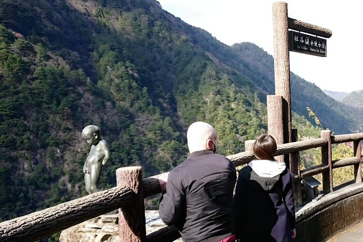 Tokushima Shore Excursion: Custom Car Tour, Licensed Guide