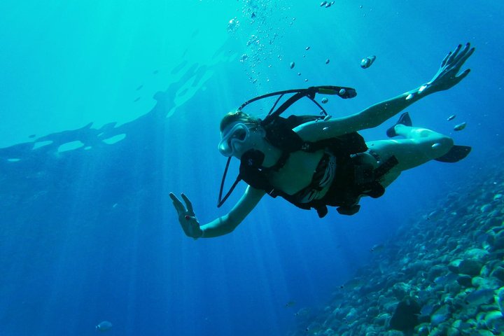 Scuba Diving Experience in Alanya With Lunch and 2 Dives