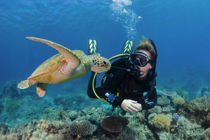 Scuba Diving Experience in Alanya With Lunch and 2 Dives