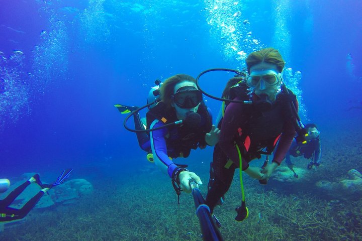 Scuba Diving Experience in Alanya With Lunch and 2 Dives