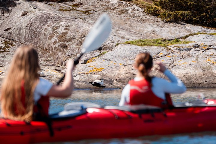 Guided Kayak Tour Bergen