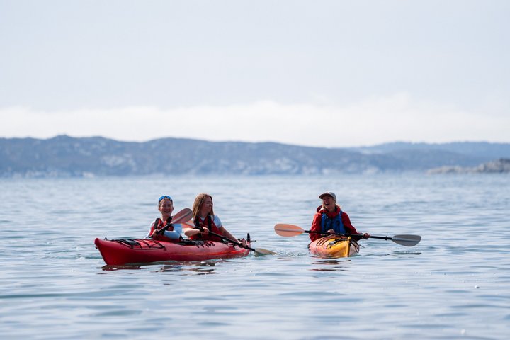 Guided Kayak Tour Bergen