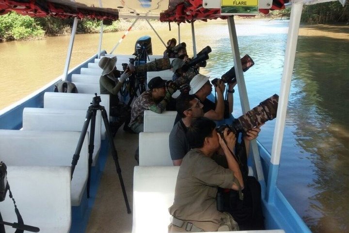 Jungle Crocodile Safari: Tarcoles River Crocodile Tour