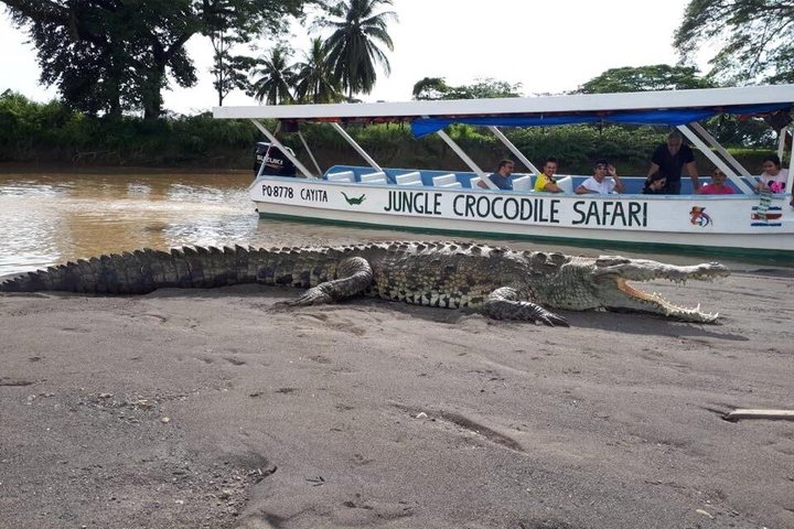 Jungle Crocodile Safari: Tarcoles River Crocodile Tour
