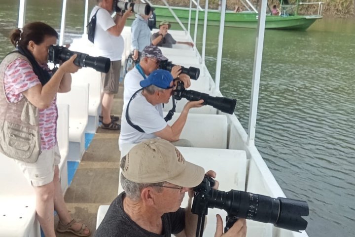 Jungle Crocodile Safari: Tarcoles River Crocodile Tour