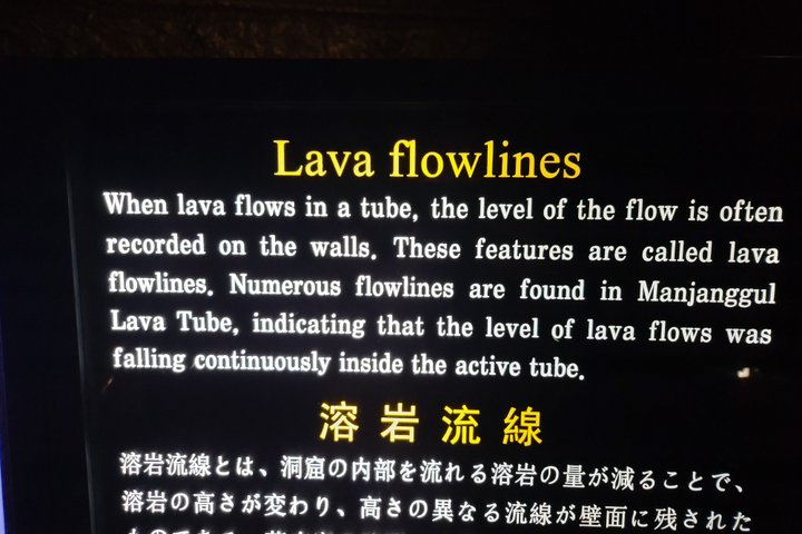 Private Half Day tour Manjanggul Lava tube in Jeju island