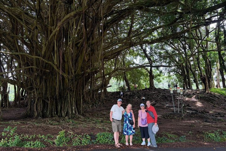 Hilo Cruise Day Tours