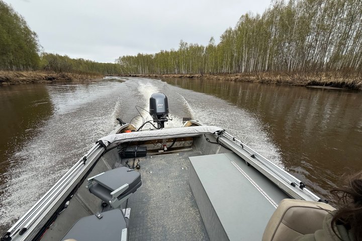 Guided Fishing Adventure On The Chena River By Boat