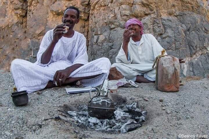 Sharm El Luli and El Qulaan Tour from Marsa Alam