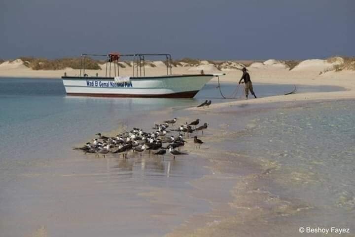 Sharm El Luli and El Qulaan Tour from Marsa Alam