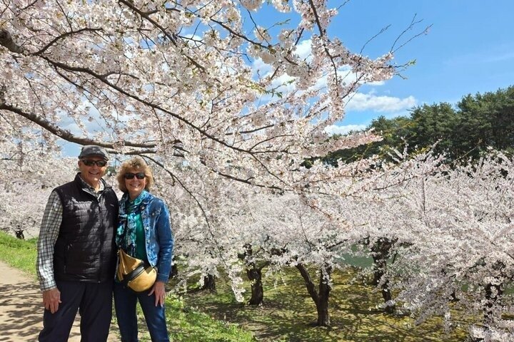 Hakodate 6hr Private Tour by Car with Licensed Guide