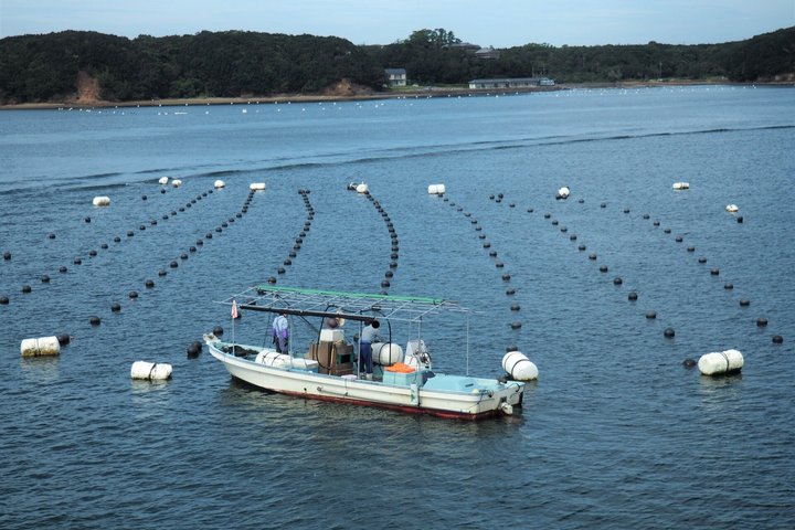 Toba, Ise Jingu and Mikimoto Pearl Island Tour