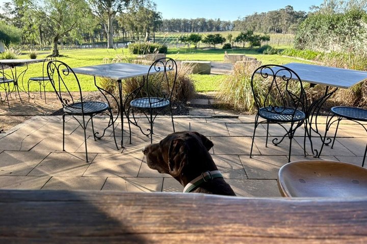 Luxury Hunter Valley Wine Tour with Fine Dining