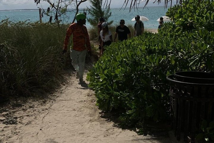 ATV/UTV Beach, Trails and Treats Guided Island Tour with Lunch