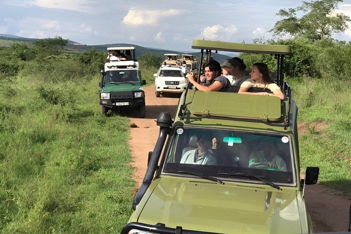 2 Days Akagera Wildlife Safari( pick up and drop off)