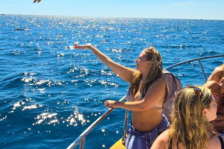 Cinque Terre Boat Tour Departing from Monterosso
