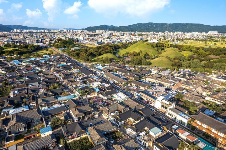 [Hotel Pick-up] Gyeongju UNESCO Private Tour with Local Guide