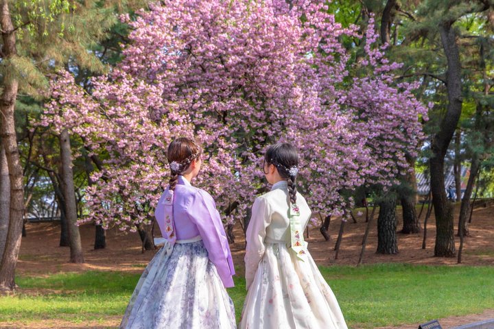 [Hotel Pick-up] Gyeongju UNESCO Private Tour with Local Guide