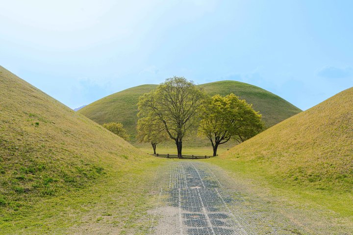 [Hotel Pick-up] Gyeongju UNESCO Private Tour with Local Guide