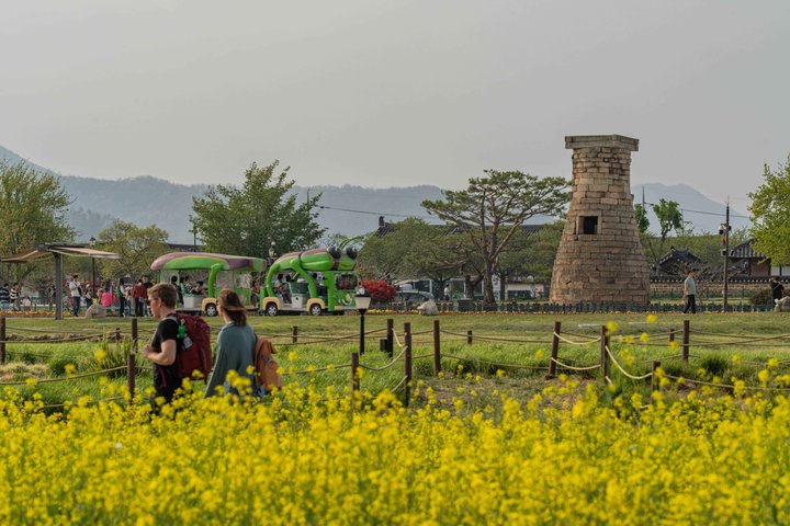 [Hotel Pick-up] Gyeongju UNESCO Private Tour with Local Guide