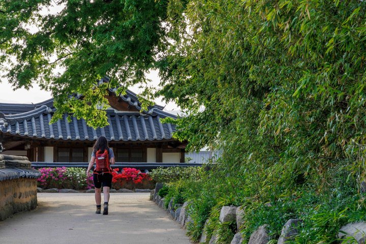 [Hotel Pick-up] Gyeongju UNESCO Private Tour with Local Guide